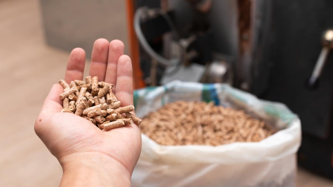 Government grants for renewable energy biomass pellets